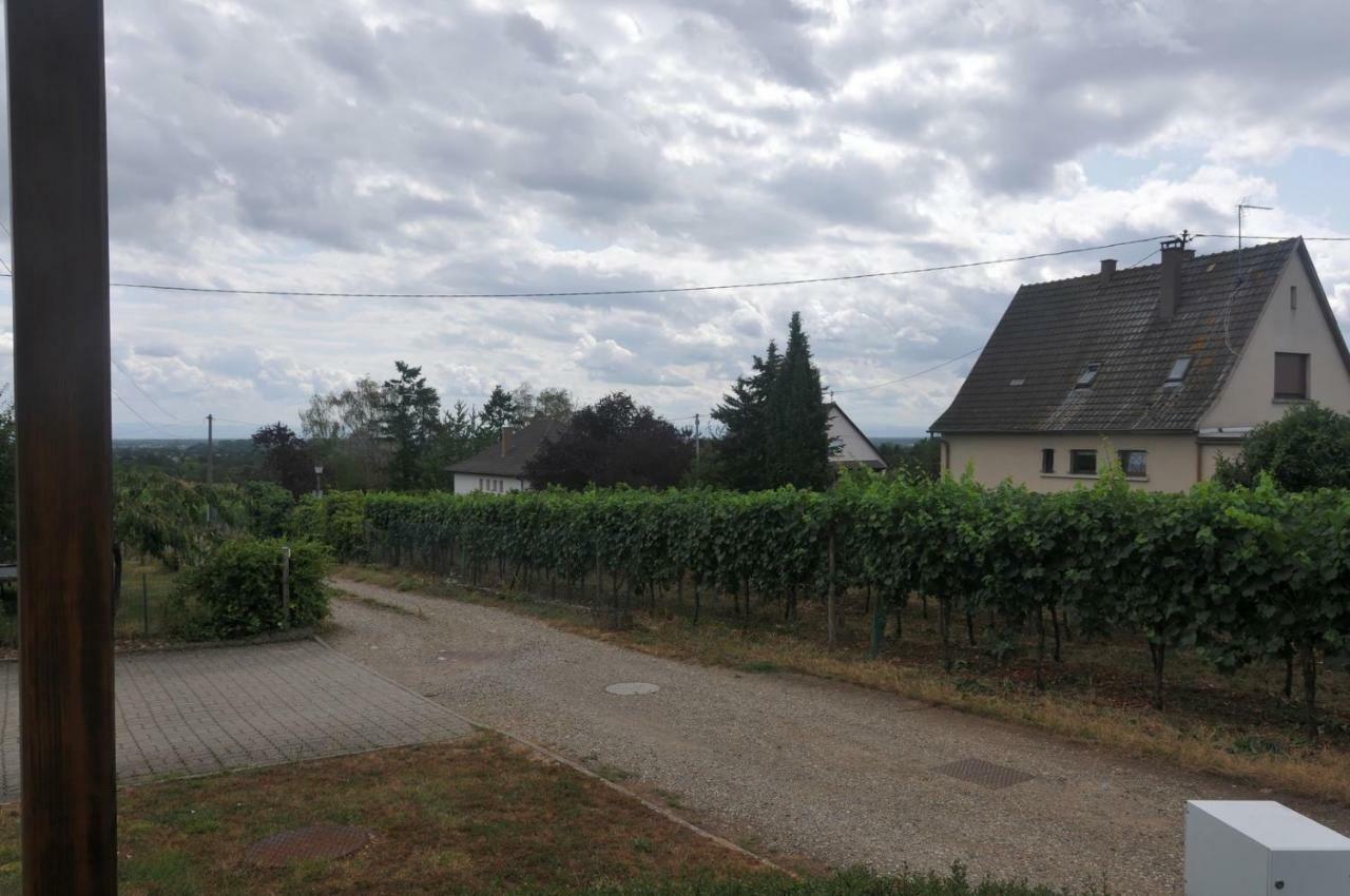 Les Cerisiers Villa Bernardswiller Exterior photo